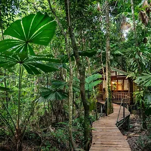 Wilderness 3*, Daintree Australië